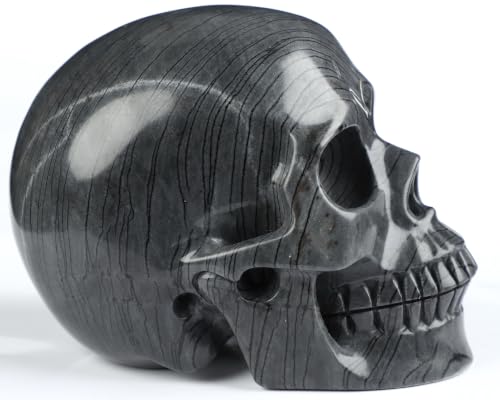 5.0" Black Picasso Jasper Crystal Skull (Skullis 5.0" Black Picasso Jasper 50)