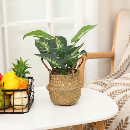4 Pcs Woven Seagrass Baskets Belly Basket (4 Count)