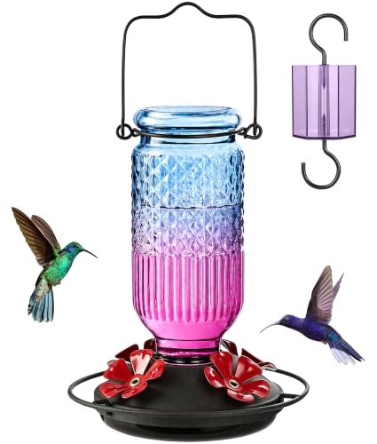 Glass Hummingbird Feeder for Outdoors (Blue-Purple Ombre)