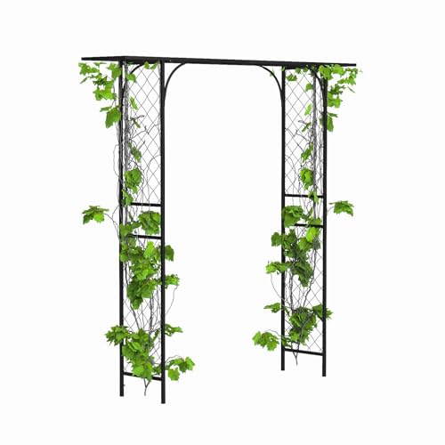 Metal Garden Arbor