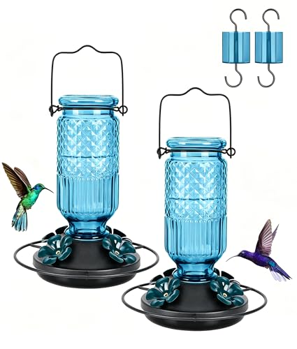 Glass Hummingbird Feeder for Outdoors Hanging (Blue)