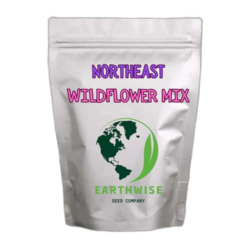 Earthwise Northeast Native Wildflower Seed Mix