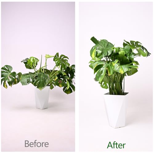 5PCS Monstera Plant Support Hook Green (Green / 5.5IN*5.5IN)