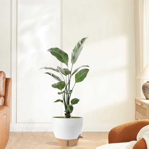 Self Watering Pots for Indoor Plants (White-small)