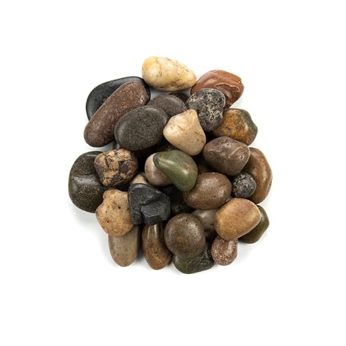 Mixed Polished Decorative Pebbles Landscape Accent Stone 40 lb (Mixed / 1.2 inch - 2 inch / BAG)