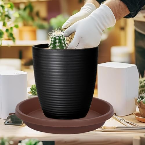 5 Pack Plant Saucer 6 Inch (6" (5 Pack) / Brown)