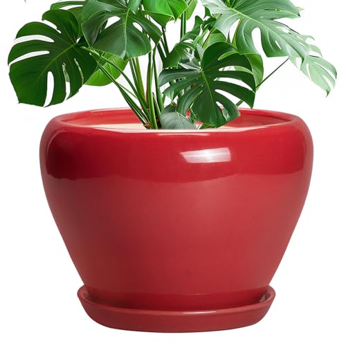 10 Inch Plant Pot (10 Inch / Glossy Red)