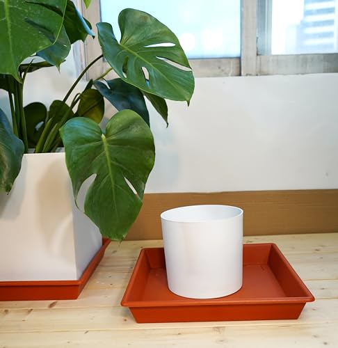 Square Plant Saucer 8 Inch 5 Pack (8"-5Pack / Red)