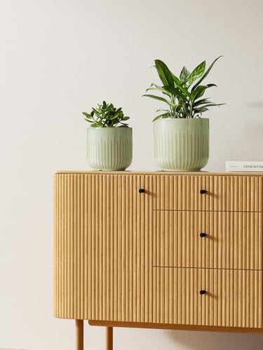 Ceramic Pots for Plants (3 Count)