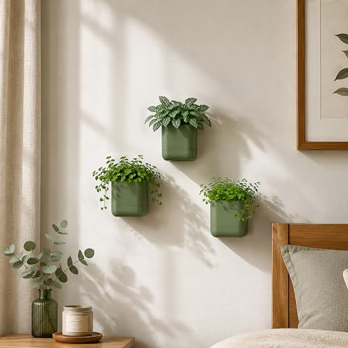 3.5 Inch Wall Mounted Self (3.5" (2 Pack) / Olive)