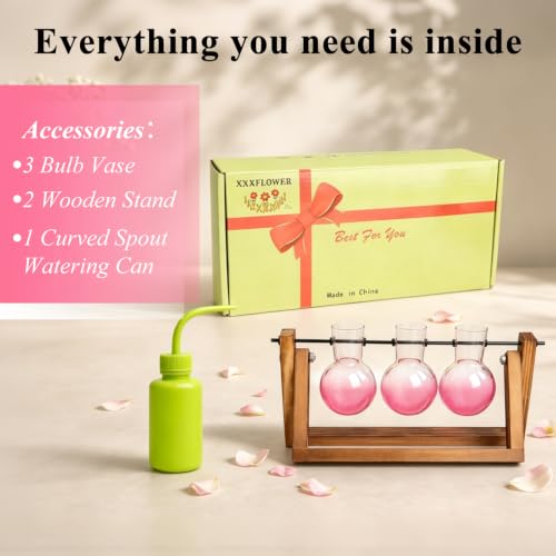 Plant Terrarium Kit with Wooden Stand 3 Gradient Pink Bulb Vases (Pink)