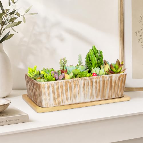 Succulent Pots (Wooden Pattern)