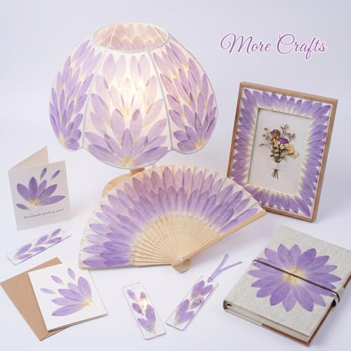 48 Pcs Mix Natural Dried Pressed Water Lily Petals for Cake Decorating (Water Lily)