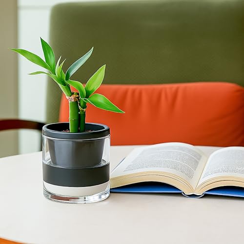 Self Watering Black Terracotta Planter (2 Count)