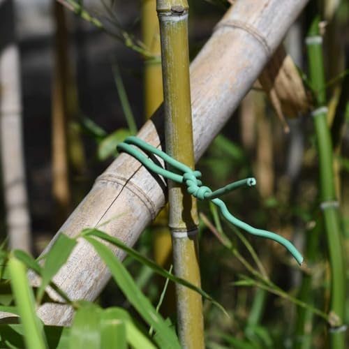 Heavy Duty Garden Plant Ties (250 feet/ 77 Meters)