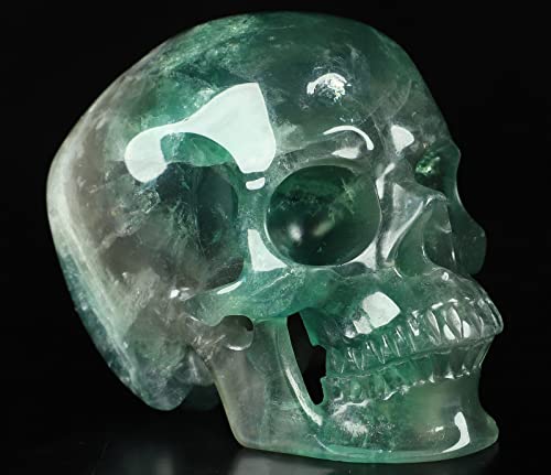 5.0" Fluorite Super Realistic Crystal Skull
