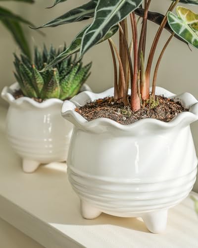 Ceramic Planter (2pcs White)