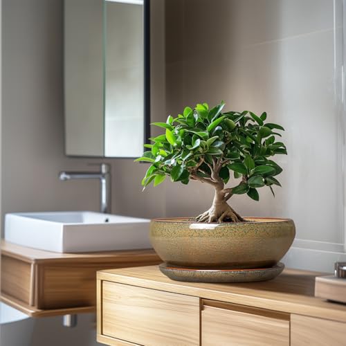 Bonsai Planter (10 Inch / Speckled Brown)