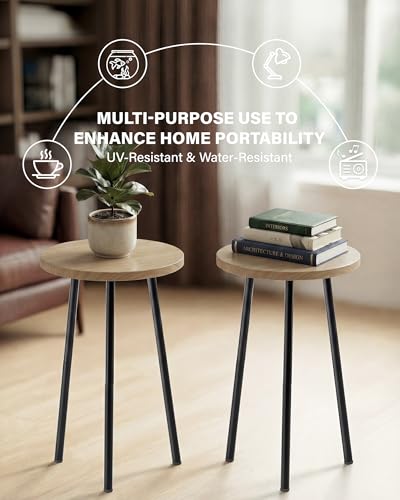 Plant Stand Indoor 2 Pack (Burlywood / 20"&20")