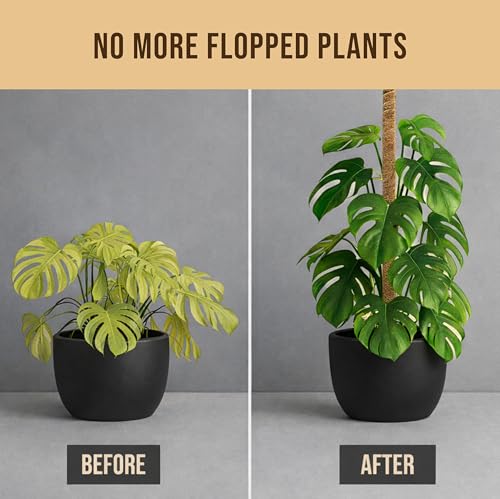 Moss Pole Monstera Plant Support (2-Pack (64 in))