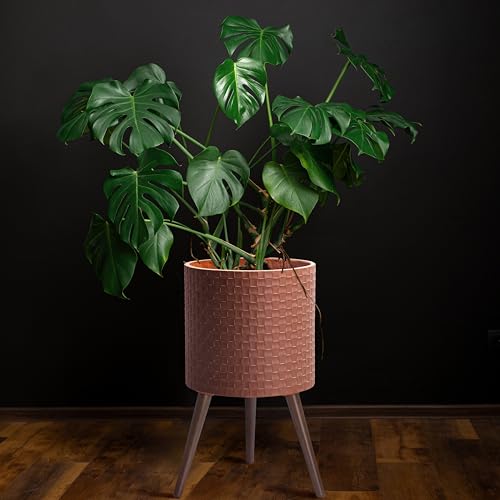 Planter Pot with Wood Stand (X-Large / Terra Cotta)
