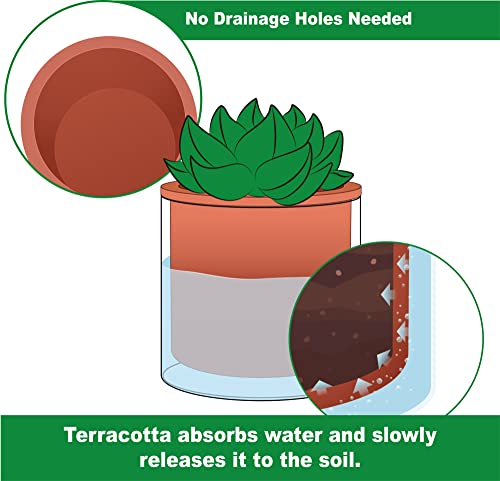 4 Inch 6 Inch Self Watering Plants Pots (4+6 Inch / Terracotta)