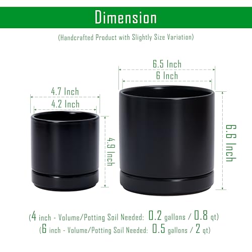 2 Pack Ceramic Pots with Saucers (2 Count)