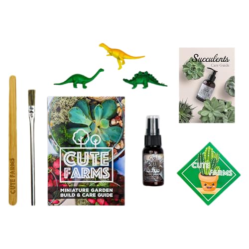 Terrarium Starter Kit (Large Kit + Live Plants + Crystals)
