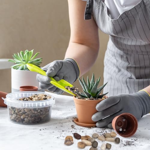 5 lbs Pebbles for Indoor Plants