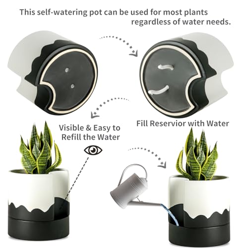 Self Watering Plant Pot