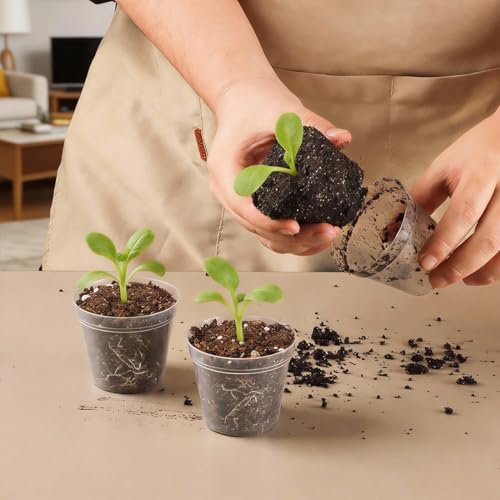 200 Pack 2.5 Inch Clear Nursery Pots with Drainage Hole (Clear / 2.5 Inch-200P)