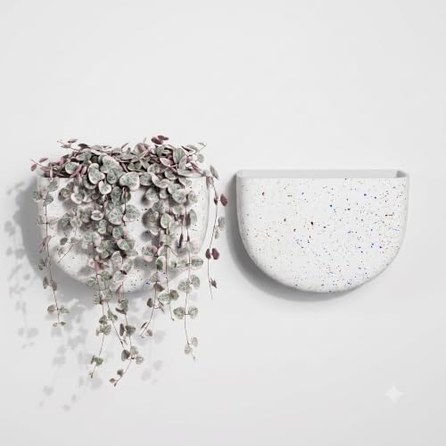 2 Pack Indoor Wall Planter (2 Count)