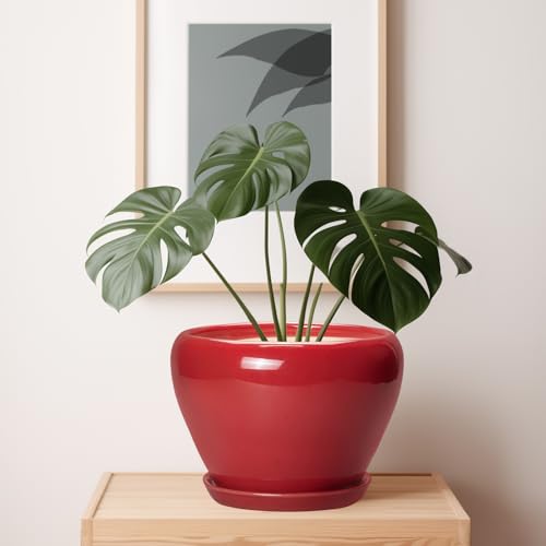 10 Inch Plant Pot (10 Inch / Glossy Red)