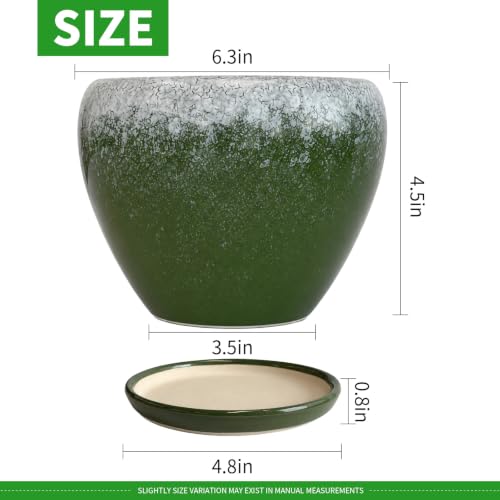 6 Inch Plant Pots (Blackish Green / 6 Inch)