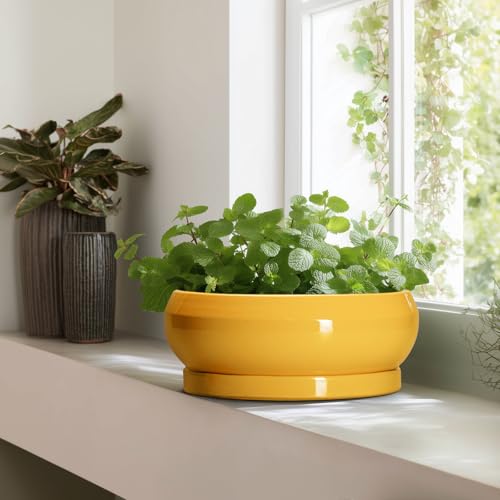 Ceramic Bonsai Pots (13 Inch / Bright Yellow)