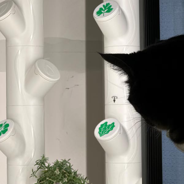 Grow Cubes for Hydroponic System