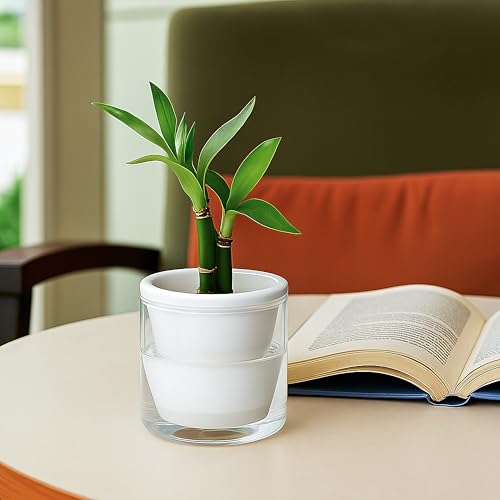 Self Watering White Terracotta Planter (2 Count)