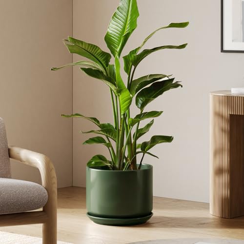 12 Inch Pots for Plants (Forest Green / 12")