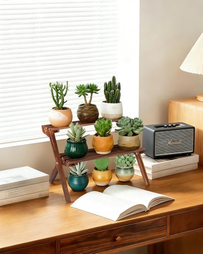 2 Tier Desktop Plant Stand