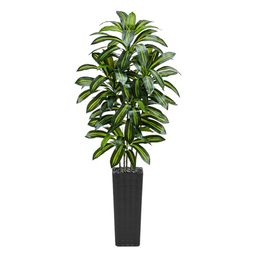 Artificial Dracaena Tree (Dark Green – Black Pot / 7FT)