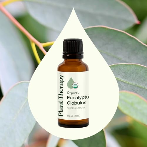 Organic Eucalyptus Globulus Essential Oils 30 mL (1 Fl Oz (Pack of 1))