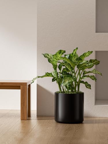 12 Inch Pot for Plants (12 Inch / Black)
