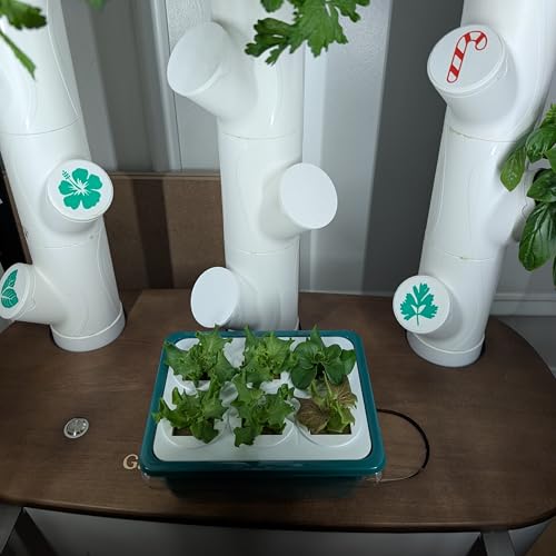 Grow Cubes for Hydroponic System (Seed Starter Nursery)