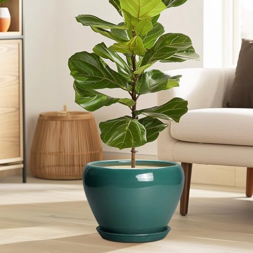 Ceramic Planter for Indoor Plants 10 Inch (10 Inch / Green)
