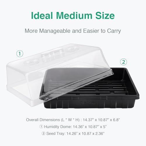 Thick Plastic 5 (5 Set)
