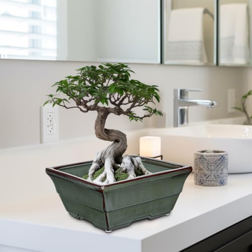 Set of 2 Large Bonsai Pots with with Drainage Hole (Green / 10"x7.8"x4.3")