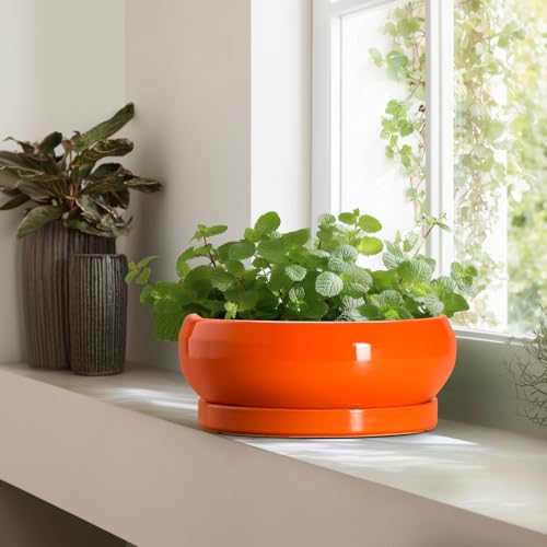 Bonsai Pots 13 Inch Ceramic Succulent Pots with Drainage Hole and Saucer (13 Inch / Orange)