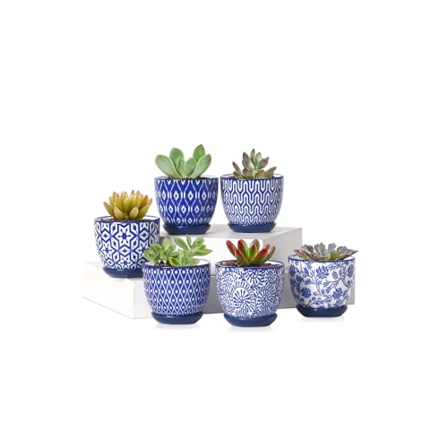 Ceramic 2.4 Inch Succulent Pots (Vintage Blue / 2.4 Inch, Set of 6)