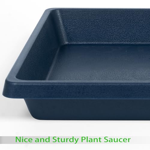 Square Plant Saucer 8 Inch 2 Pack (8"(2Pack) / Blue)