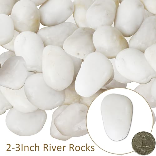 5LBS White River Rocks